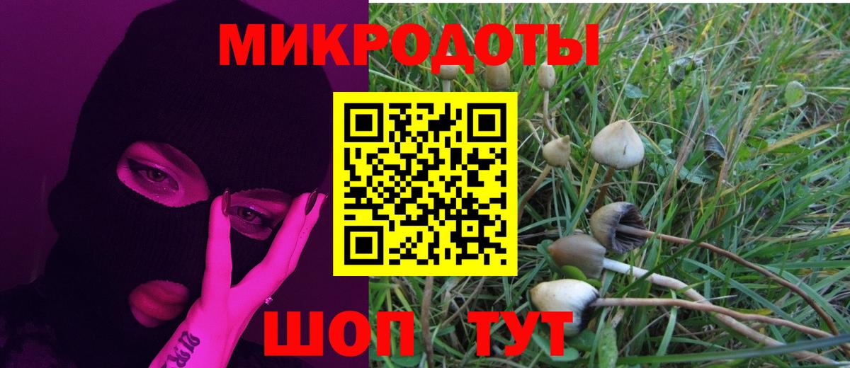 наркота  Вход с VPN  Тольятти  Галлюциногенные грибы Psilocybine cubensis 